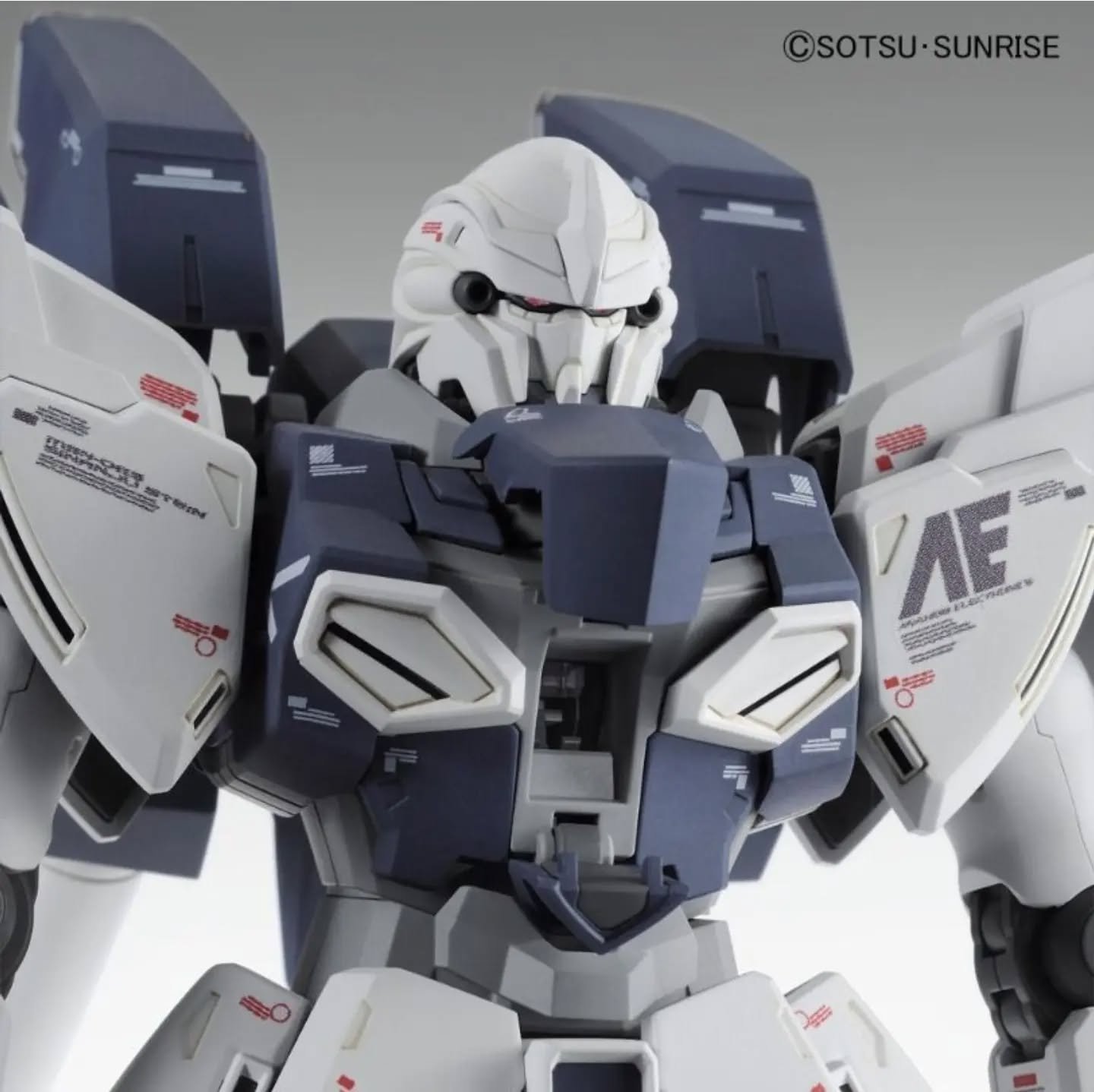 Sinanju Stein Ver.Ka MG 1/100 - Imagen 6