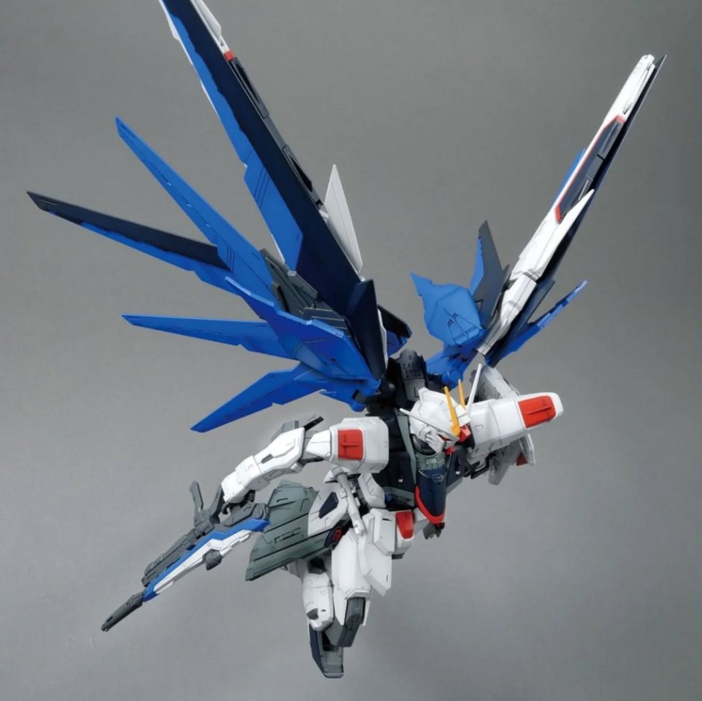 Freedom Gundam Ver. 2.0 MG 1/100 - Imagen 5